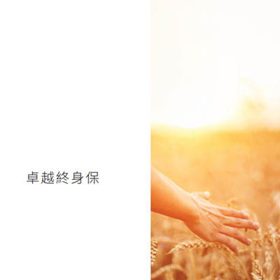 卓越终身保