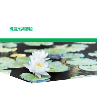 精选定期寿险