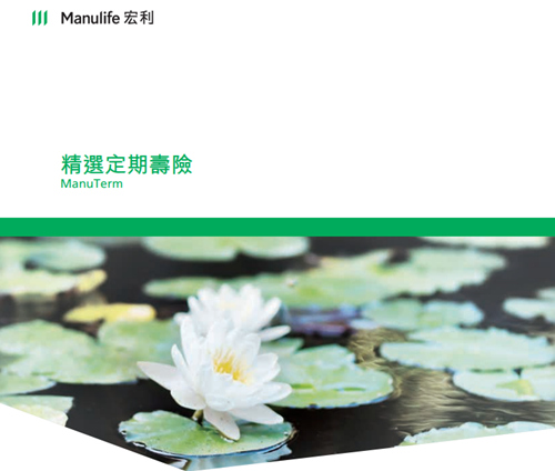 精选定期寿险.jpg