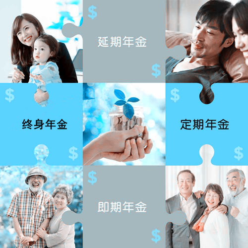 年金保险.jpg