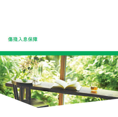 伤残入息保障